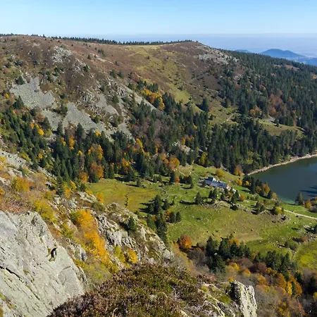 Zelcova Avec A * Gérardmer